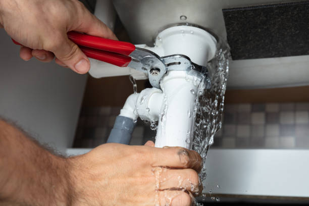 Best Water damage restoration experts  in Oronoco, MN