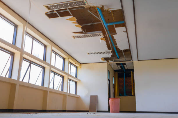 Best Water damage restoration specialists  in Oronoco, MN