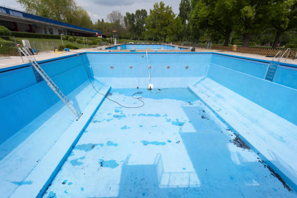 Best Flooded house restoration  in Oronoco, MN