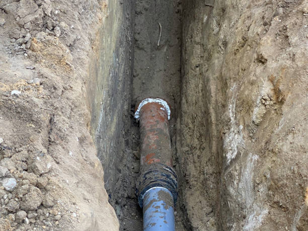 Best Sewage cleanup and water damage restoration  in Oronoco, MN