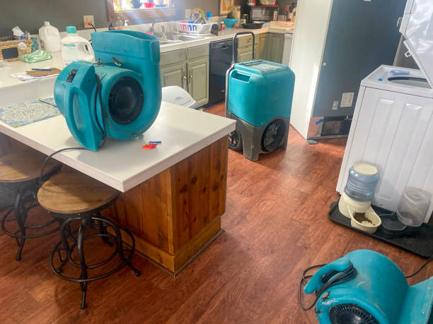 Best Local water damage restoration  in Oronoco, MN