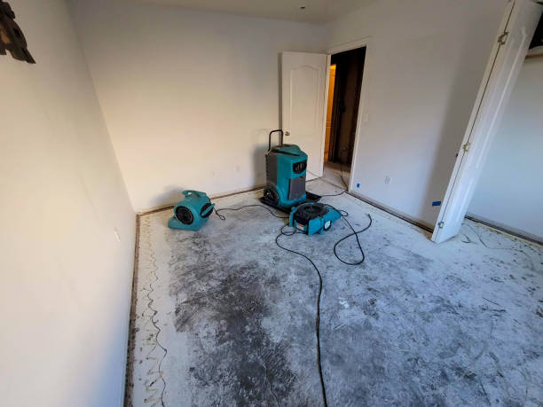 Reliable Oronoco, MN Water damage restoration Solutions