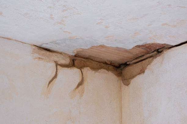Best 24-hour water damage restoration  in Oronoco, MN