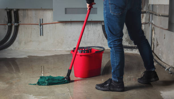 Water damage restoration mold remediation in Oronoco, MN