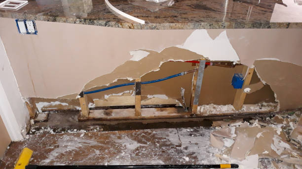 Best Mold removal after water damage  in Oronoco, MN