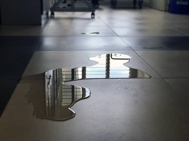 Best Commercial water damage restoration  in Oronoco, MN