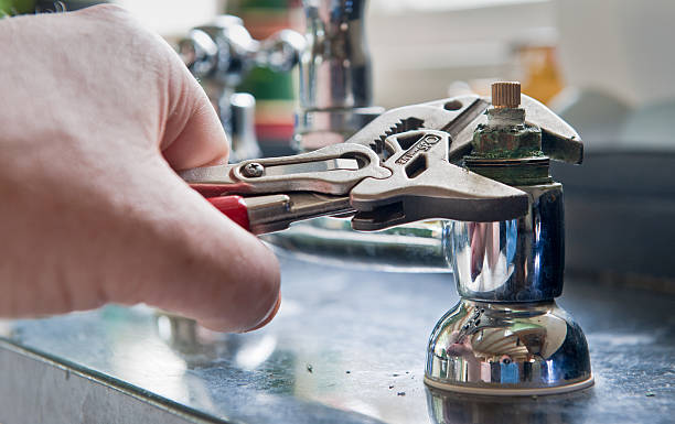 Best Water damage restoration process  in Oronoco, MN