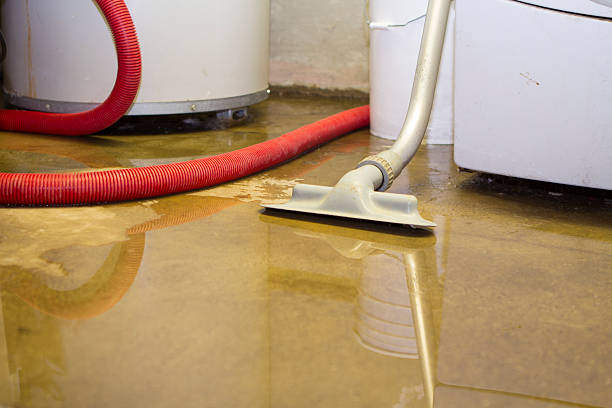 Sewage cleanup and water damage restoration in Oronoco, MN
