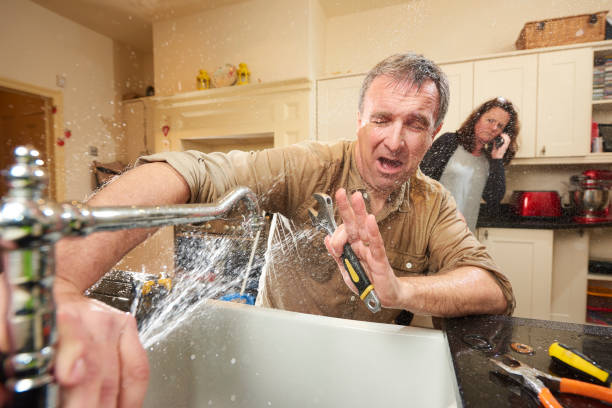 Best Ceiling water damage repair  in Oronoco, MN